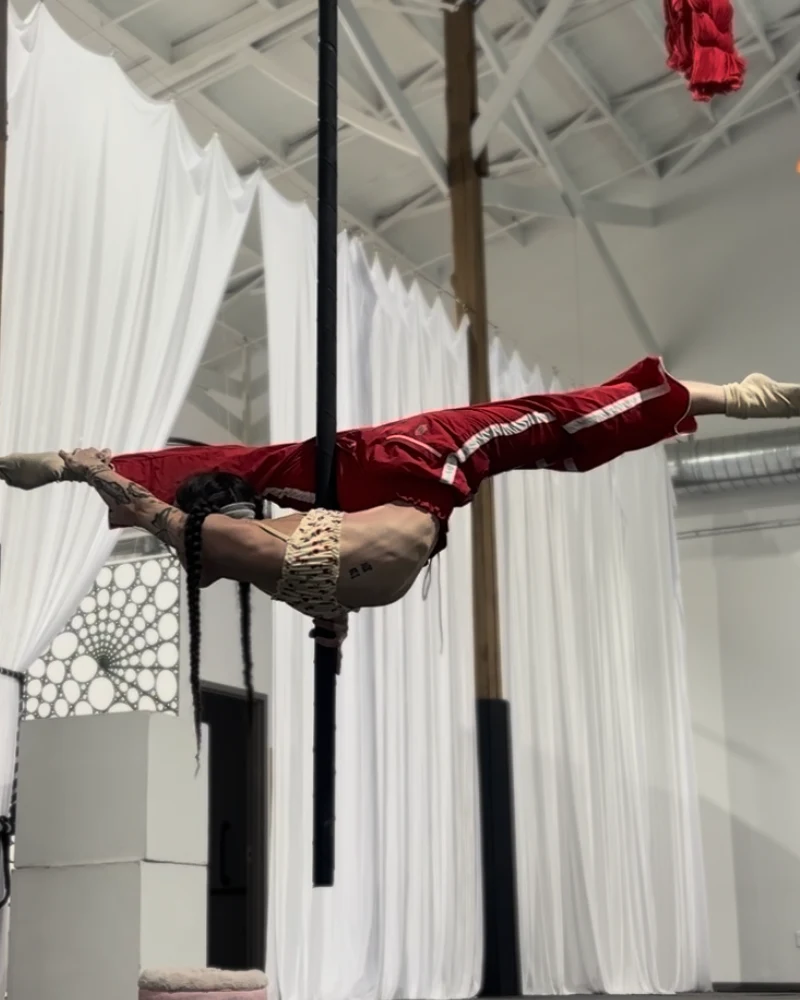 Aerial Pole — Tink performing